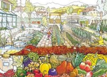 ASSEGNAZIONE ORTI SOCIALI